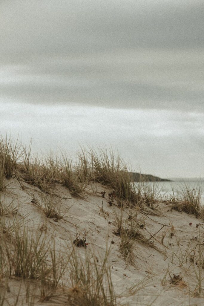 Week-end à Bray-Dunes — 48h