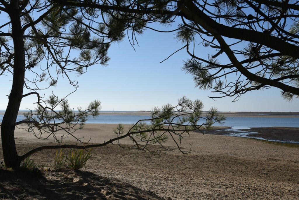 Noirmoutier, l&rsquo;île aux pinèdes et aux horizons salés