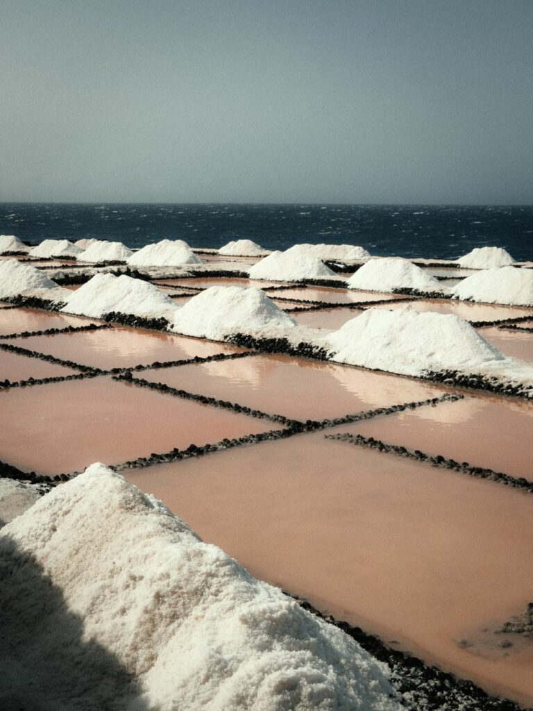 Week-end à Noirmoutier — 48h
