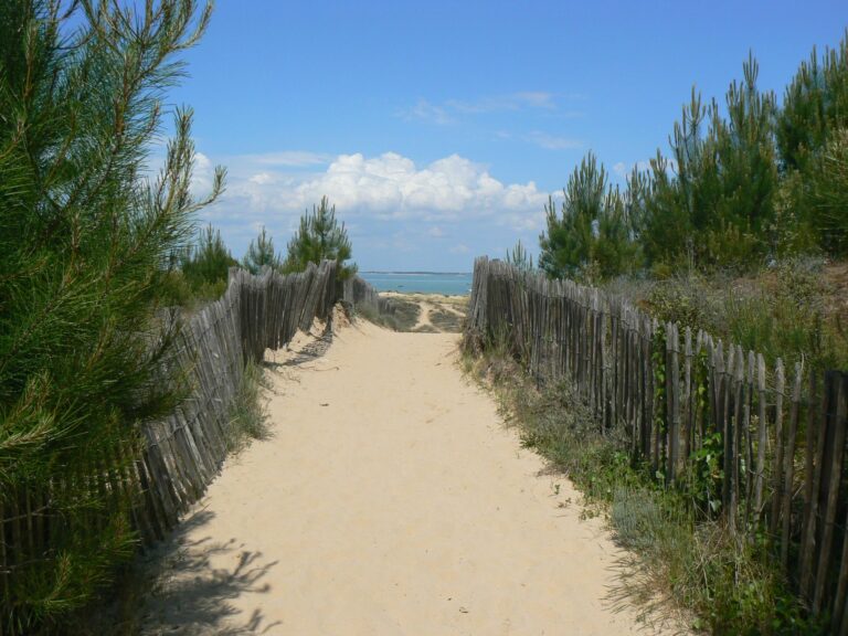 Hardelot-Plage : plage et littoral | PLAGEPLAGE