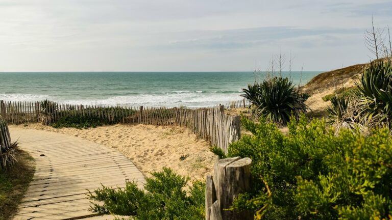 Île de Ré : plage et littoral | PLAGEPLAGE