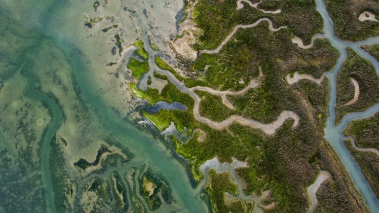 Bénodet : plage et littoral | PLAGEPLAGE