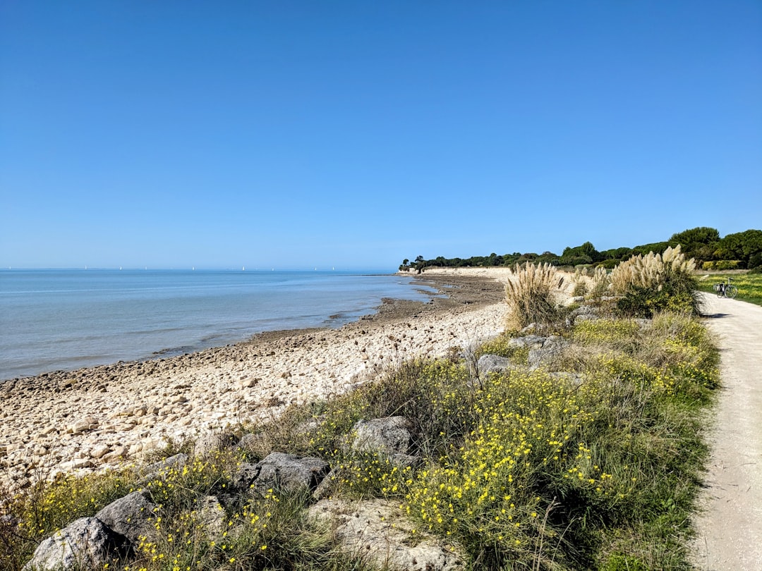 Week-end à La Rochelle : plages urbaines et patrimoine atlantique — 48h