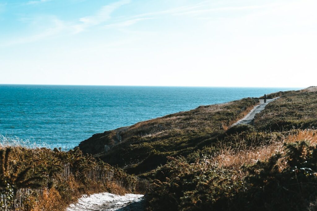 Oléron, l&rsquo;île aux côtes généreuses