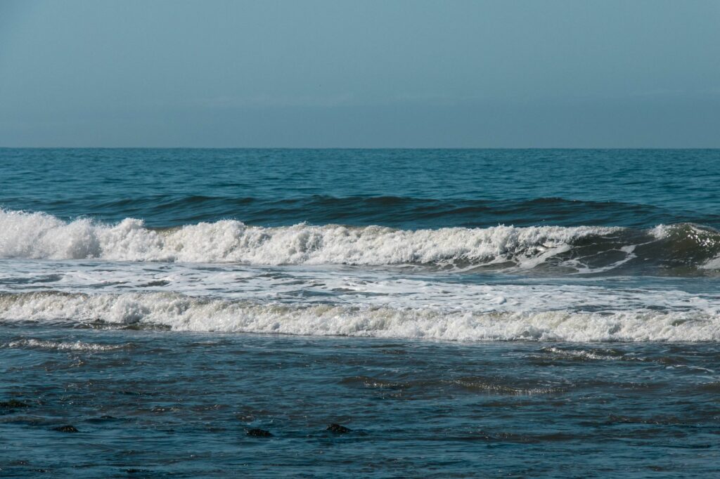 Deauville en automne : quand les surfeurs prennent le relais
