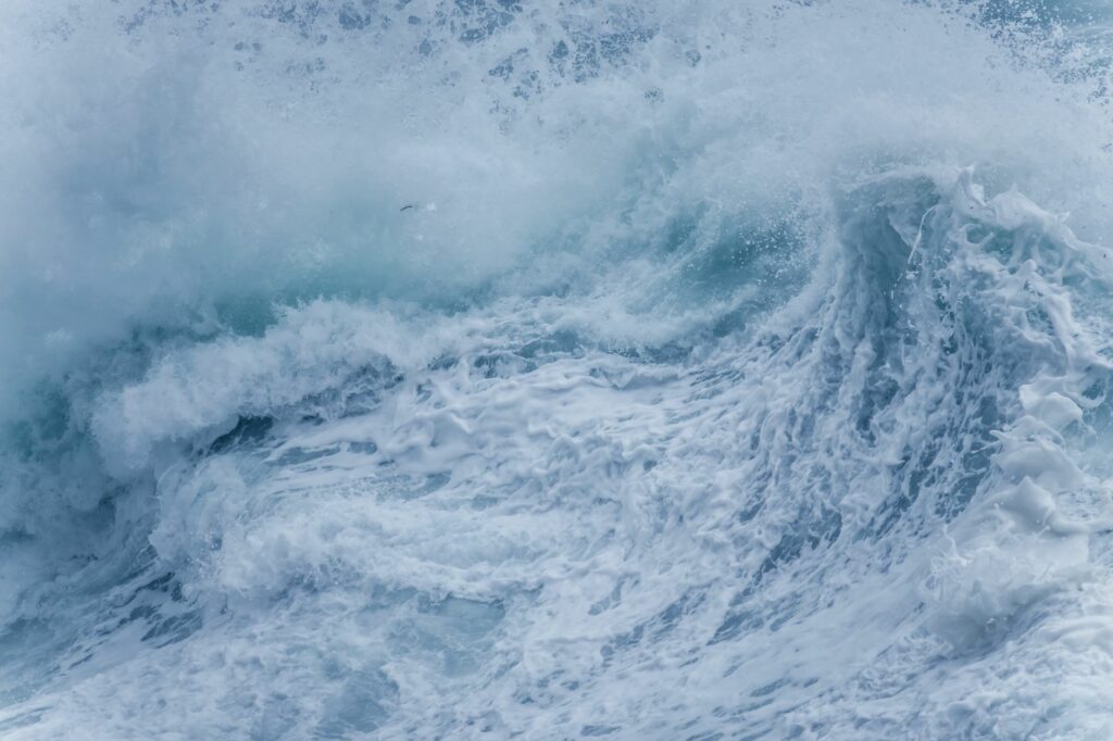 Fécamp en automne : quand les surfeurs prennent le relais