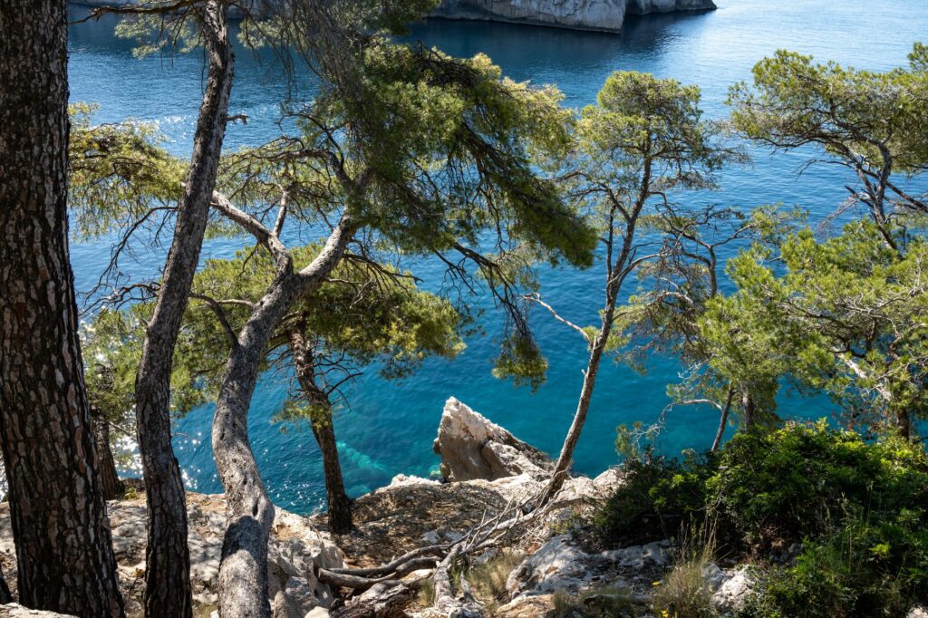 Guide Cannes 2026 : tout ce qu&rsquo;il faut savoir