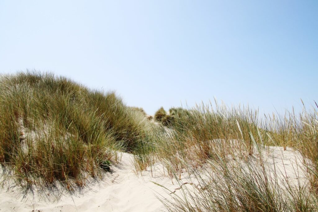 Week-end à Bray-Dunes : notre programme 48h