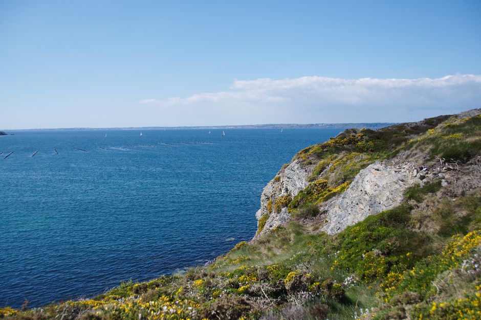 Guide Camaret-sur-Mer 2026 : tout ce qu&rsquo;il faut savoir