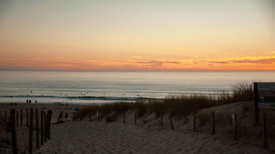 Seignosse en automne : quand les surfeurs prennent le relais