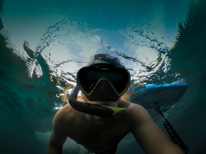 Vingt mille lieues sous les mers, quand Verne invente le regard sur l&rsquo;océan