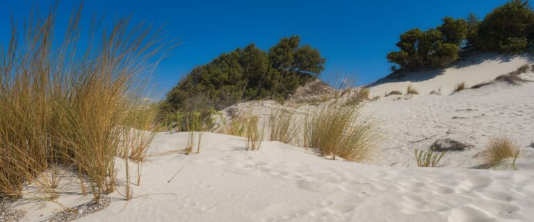 Explore the sunlit sand dunes and coastal landscape at Porto Pino, Sardinia, Italy.