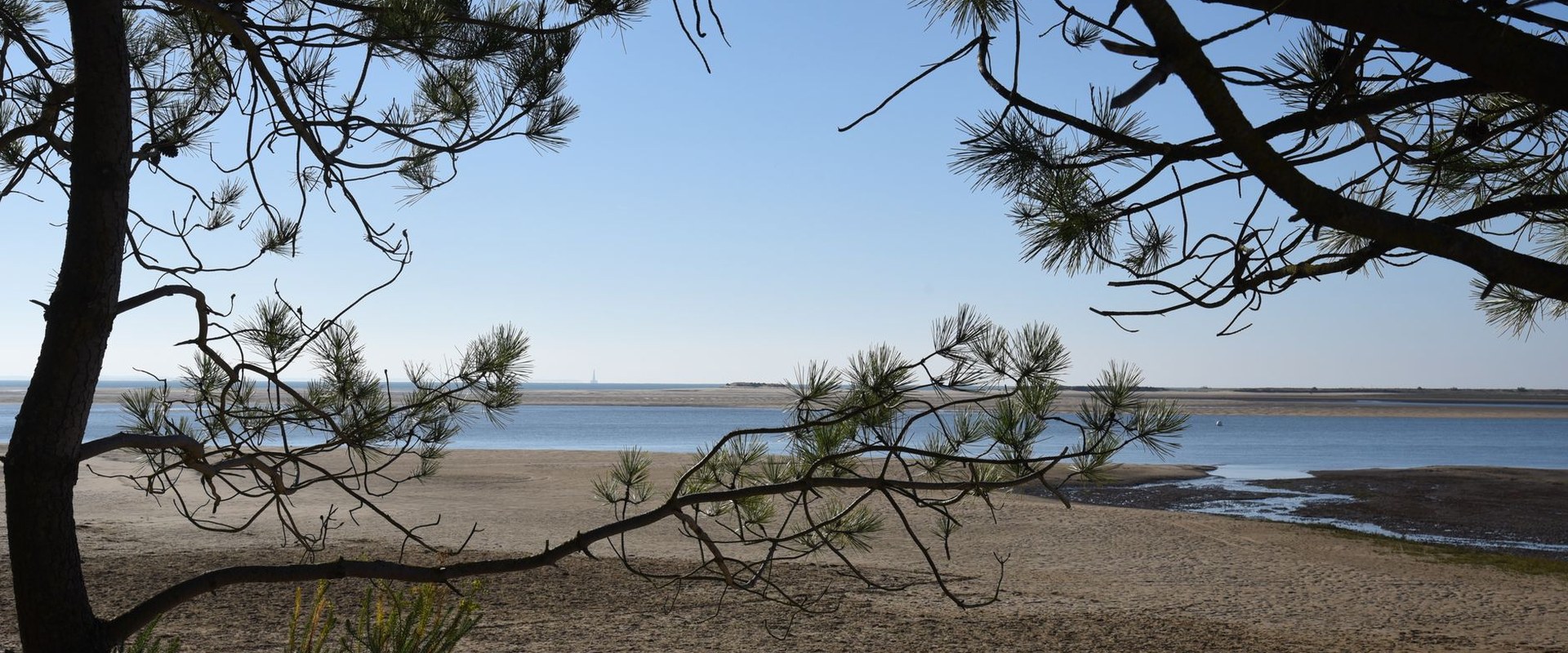 Week-end à Soulac-sur-Mer : où l&rsquo;Atlantique rencontre la forêt
