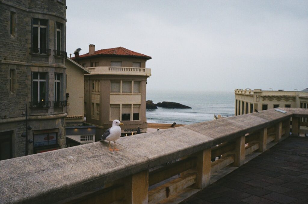 Les thermes de Biarritz : quand l’architecture soigne le regard