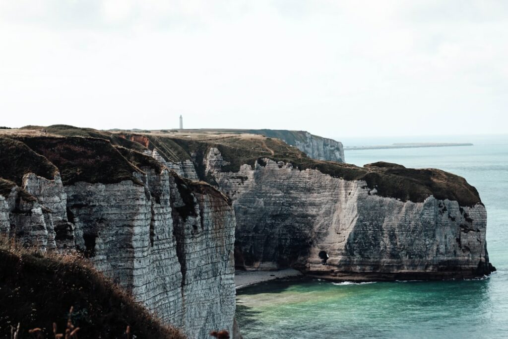 Le phoque gris revient en Manche : ce que cela change