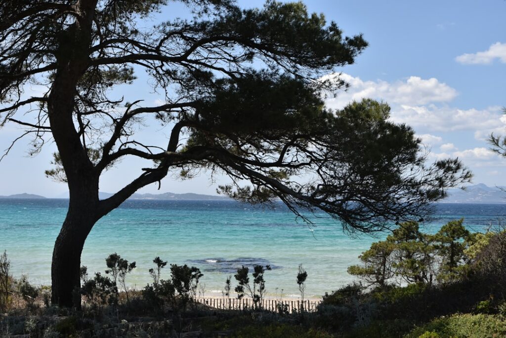 Week-end à Fréjus — 48h