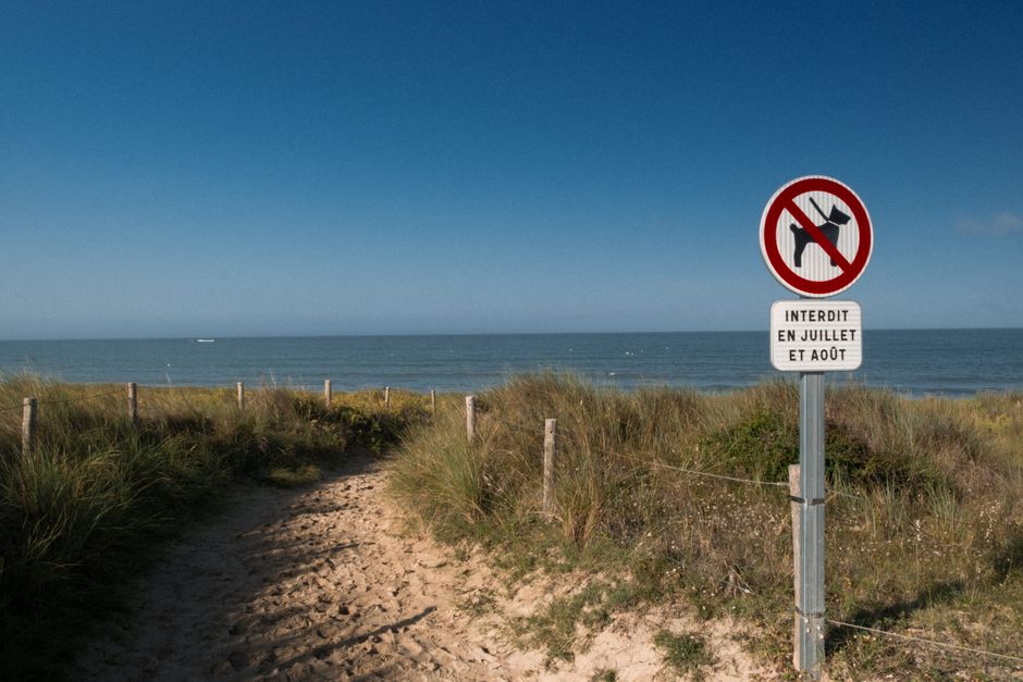 Août à la mer : les côtes françaises qui respirent encore