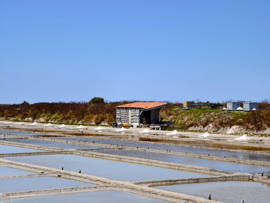 Ré, Oléron, Noirmoutier, Yeu : quatre îles, quatre tempéraments