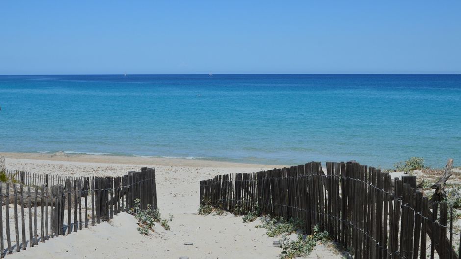 Méditerranée à 28,5°C : ce que change cet été exceptionnel