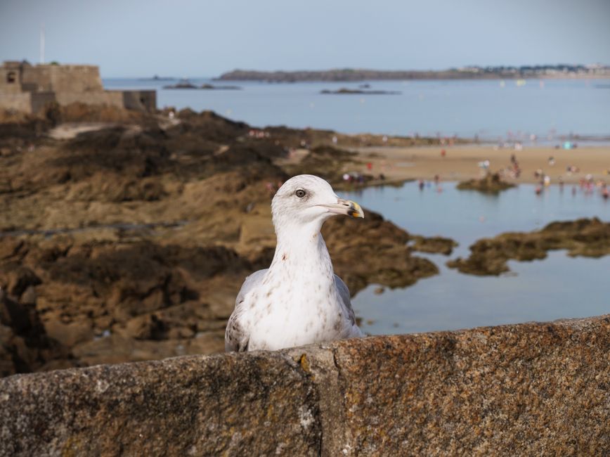 Bretagne : orages d&rsquo;été et fermetures balnéaires