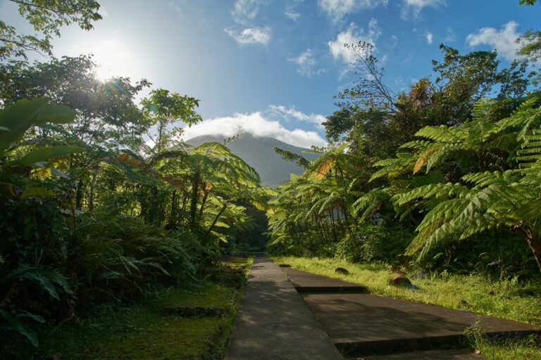 Deshaies — Guadeloupe