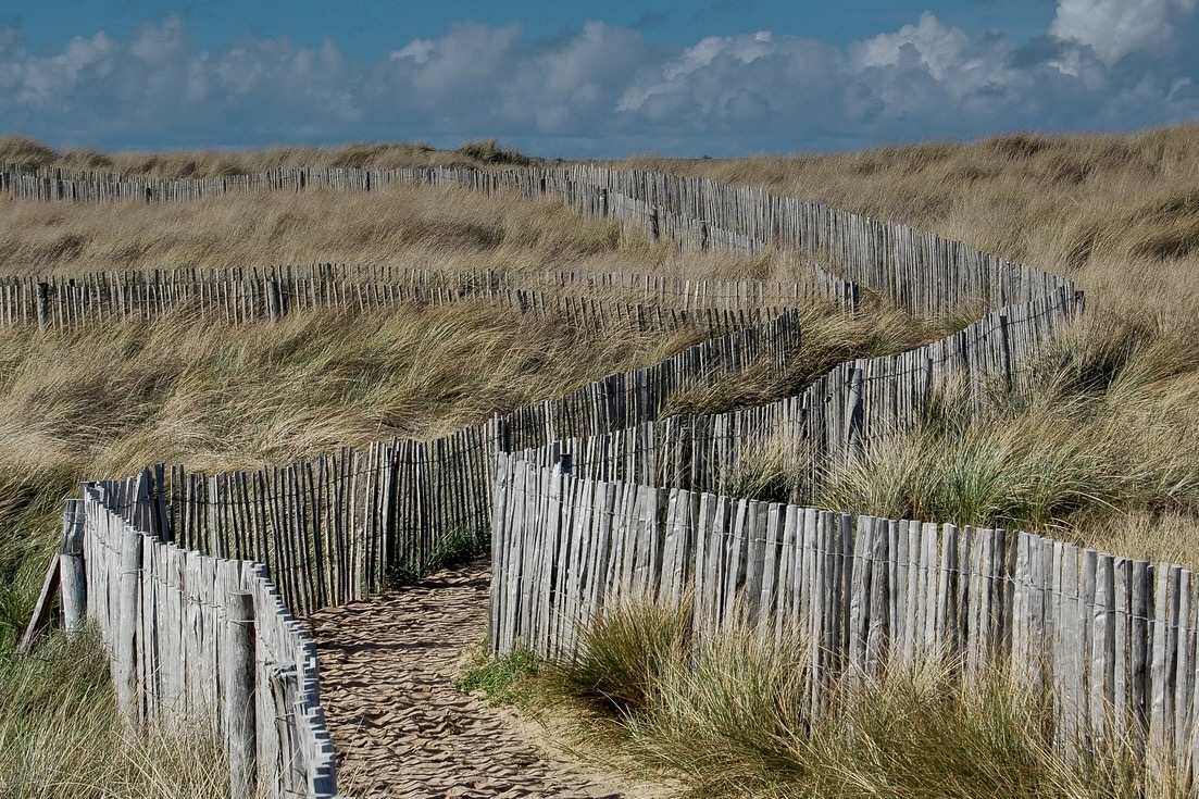 Yves Rocher, le Breton qui a fait de l&rsquo;herbe un empire