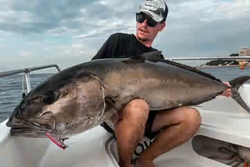 Une sériole de 50 kg pêchée au large de Monaco