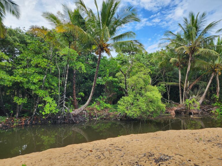 Sainte-Rose — Guadeloupe