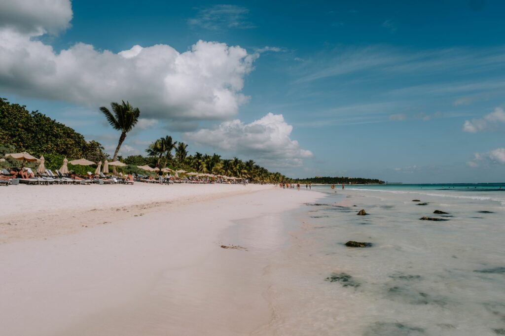 Hartwood — Tulum