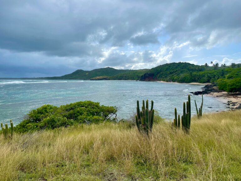 Le Robert — Martinique