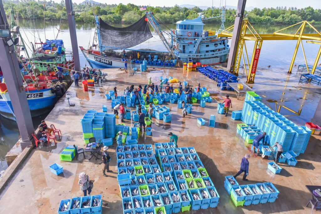 Méditerranée : les pêcheurs étouffent sous les coûts