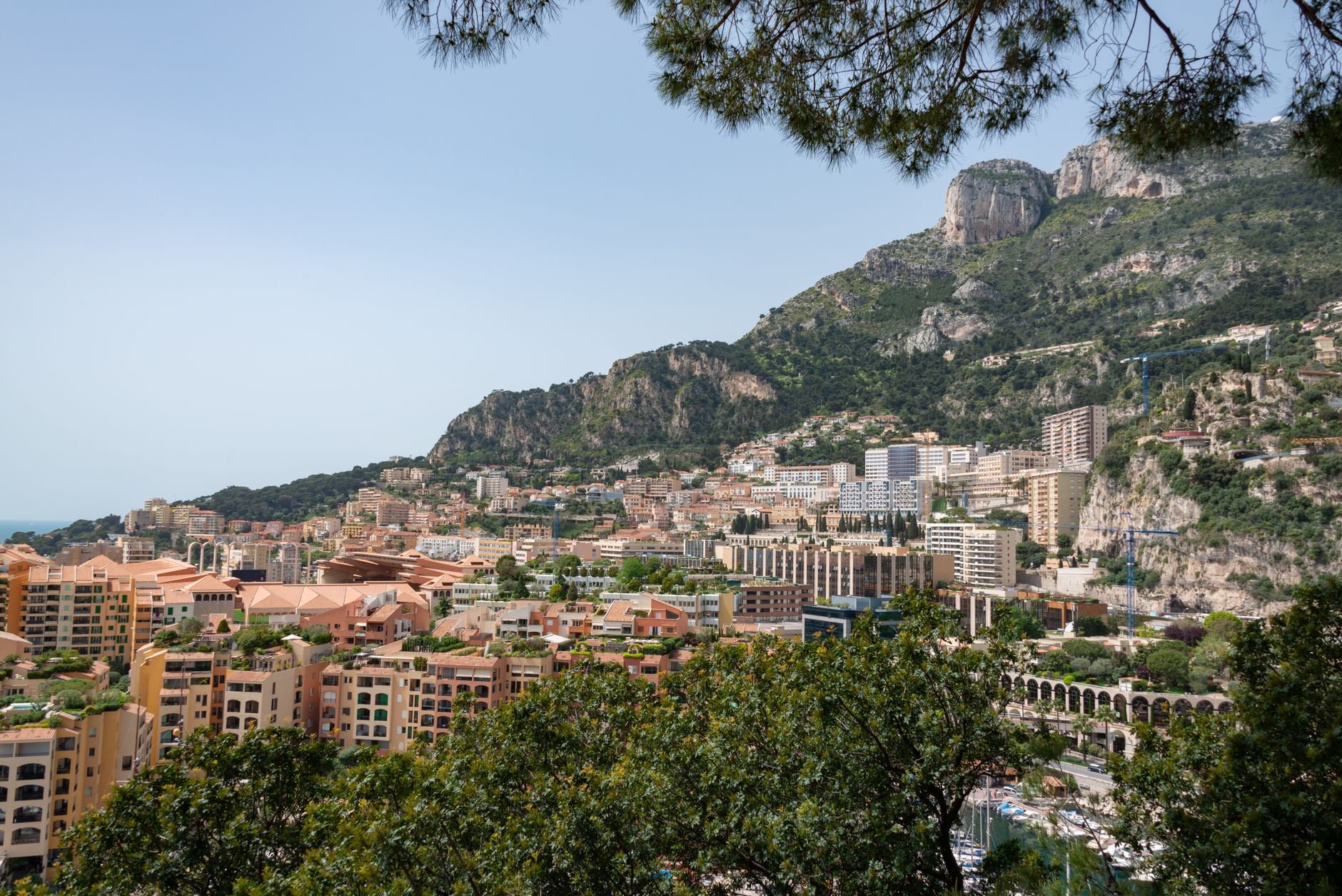 Monaco mise sur la recherche Alzheimer côtière