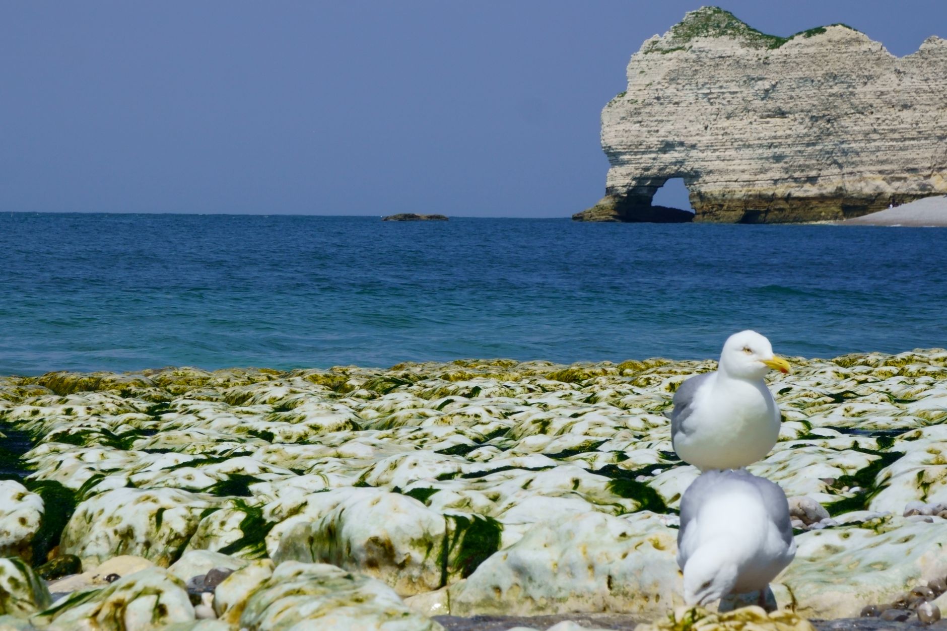 Normandie : les forteresses du littoral s&rsquo;ouvrent en septembre