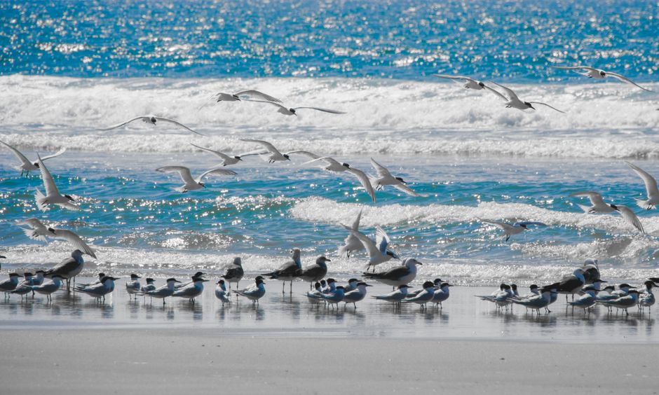 Hérault : où profiter de la mer sans se ruiner