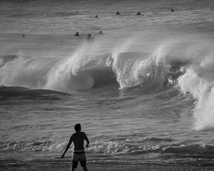 Bidart Surf Film Festival 2026 : le rendez-vous des passionnés de glisse
