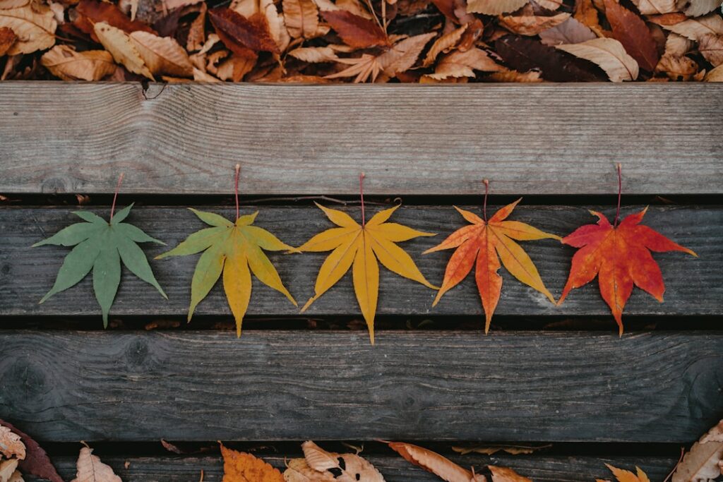 Automne côtier : s’équiper pour profiter de la saison