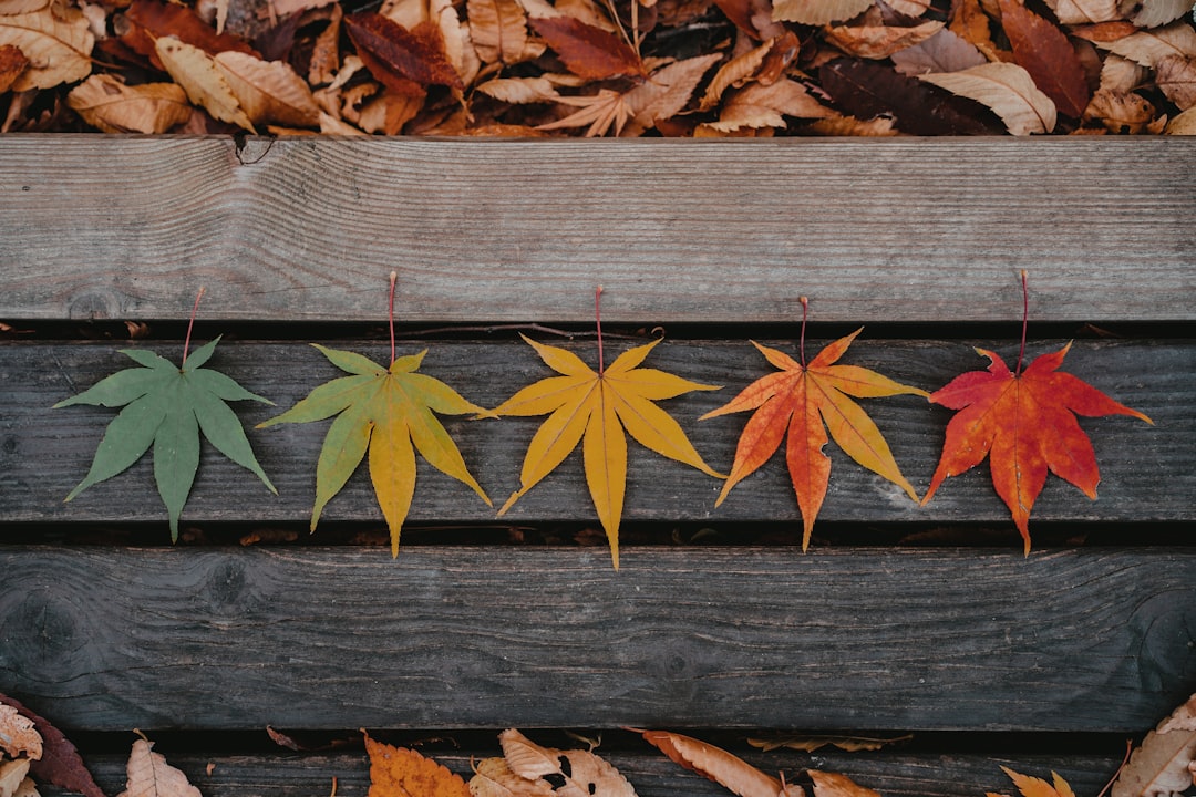 Automne côtier : s&rsquo;équiper pour profiter de la saison