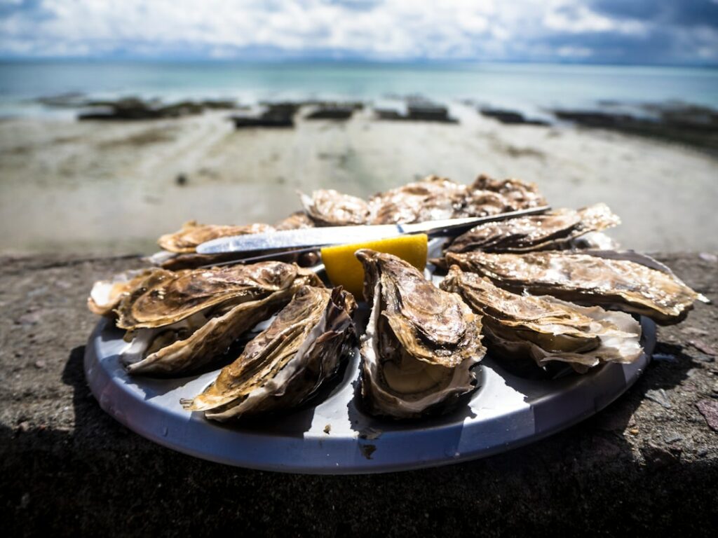 Cancale en automne : le temps des huîtres