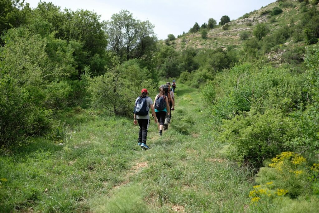 Cap Blanc-Nez : randonnée vers l&rsquo;Angleterre invisible