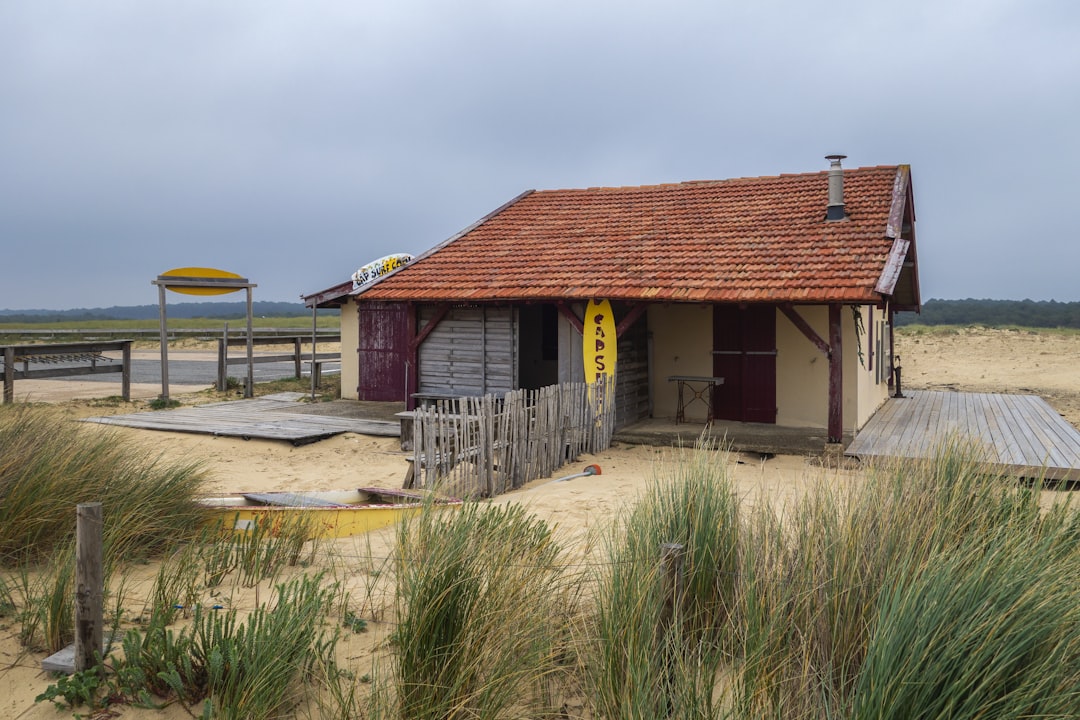 Capbreton célèbre le chipiron, pêche accessibile des Landes