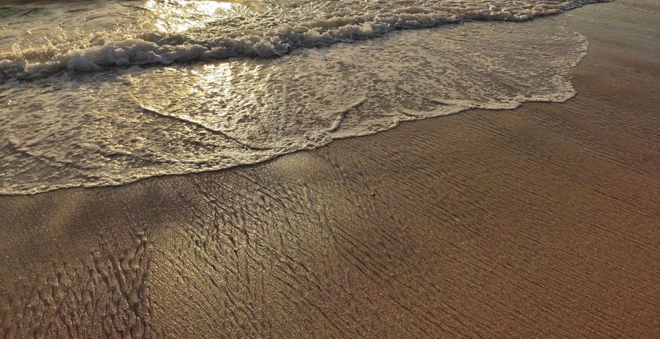 Leucate en automne, le cap retrouve ses racines