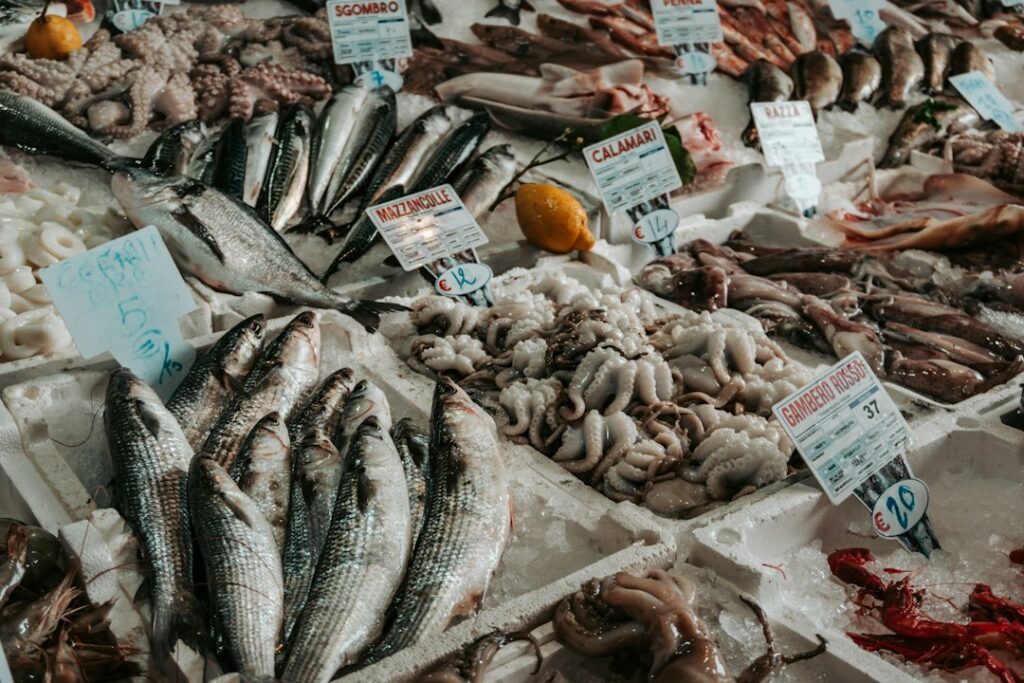 Fos-sur-Mer : la pêche méditerranéenne crie son malaise