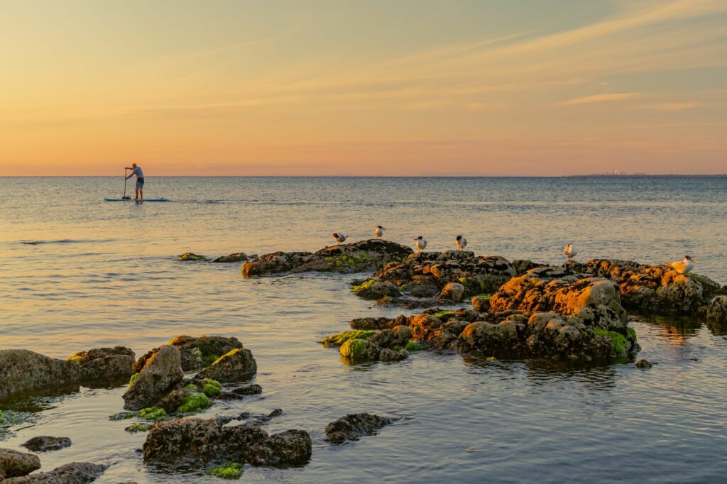 Paddle en Normandie : les risques d&rsquo;une pratique sans garde-fou