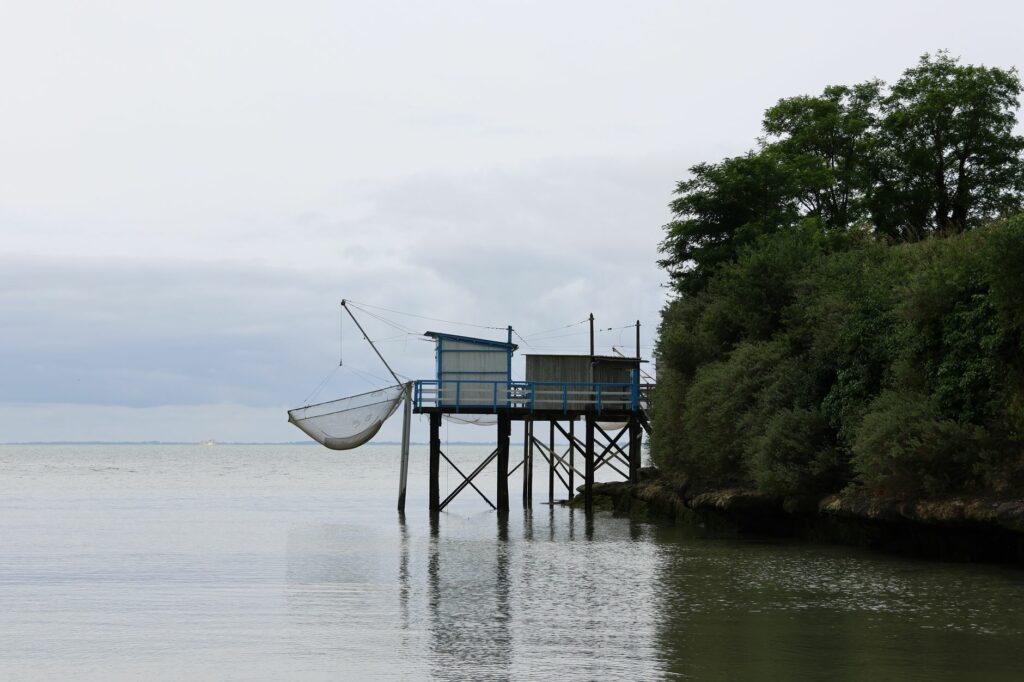 Saumons en cage : Médoc Atlantique dit non
