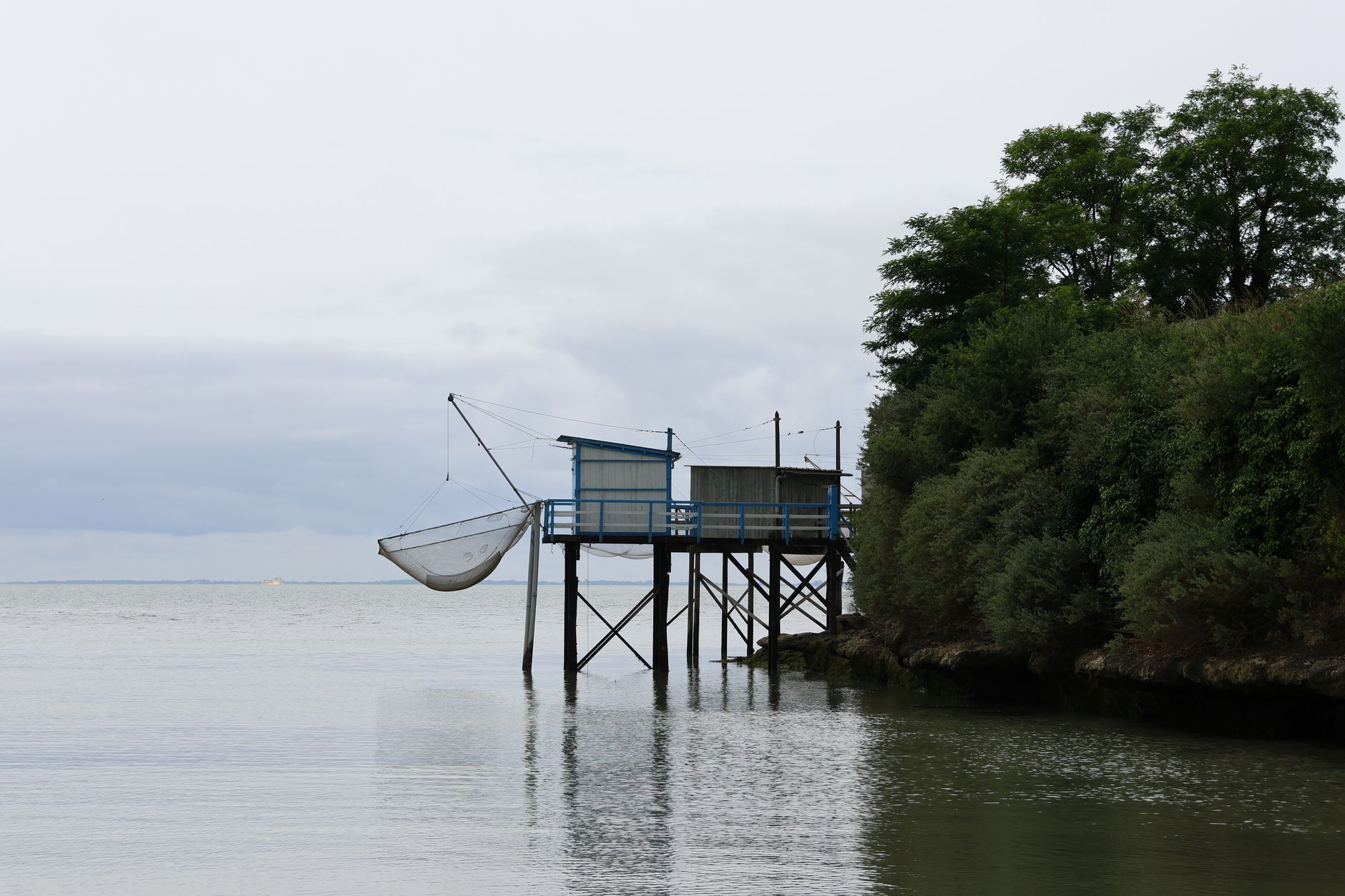Saumons en cage : Médoc Atlantique dit non