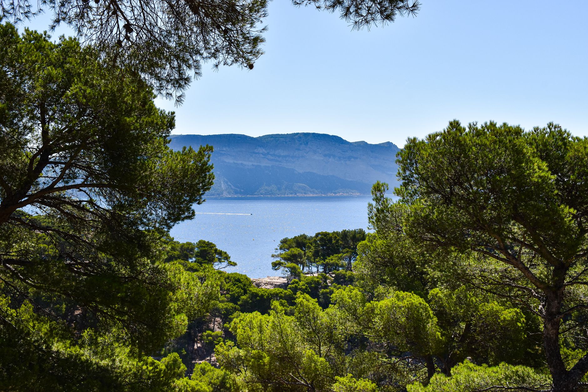 Ultra-Trail Nice : routes fermées, circulation perturbée