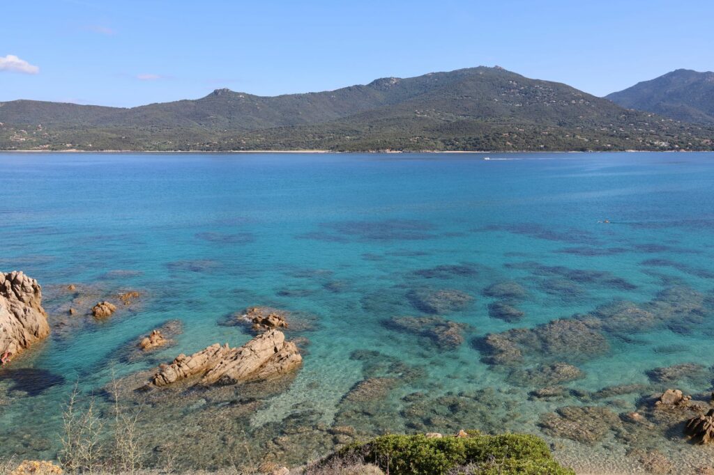 Agression à Cagnes-sur-Mer : tensions électorales sur le littoral