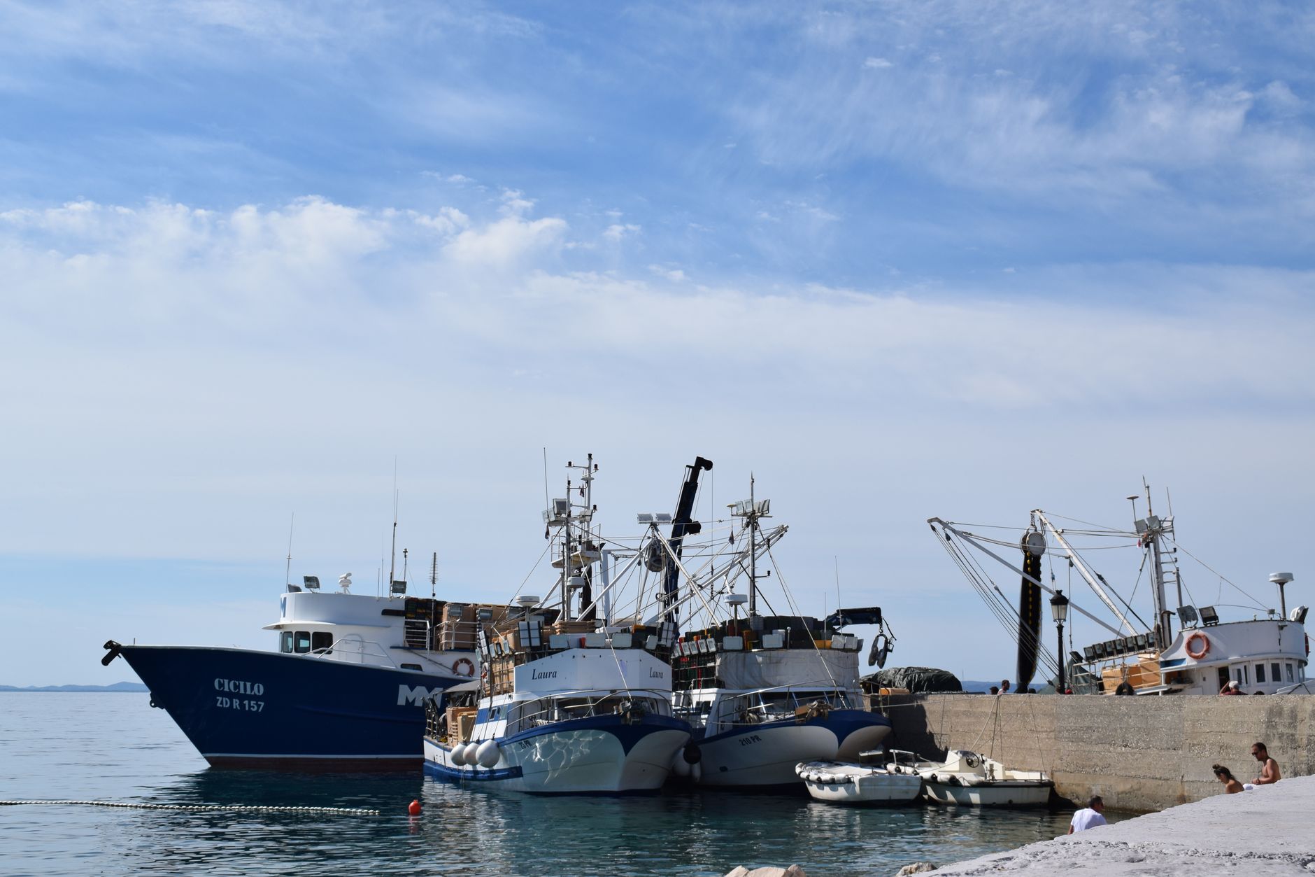 Arcachon : un thon de 255 kilos redonne espoir aux chalutiers