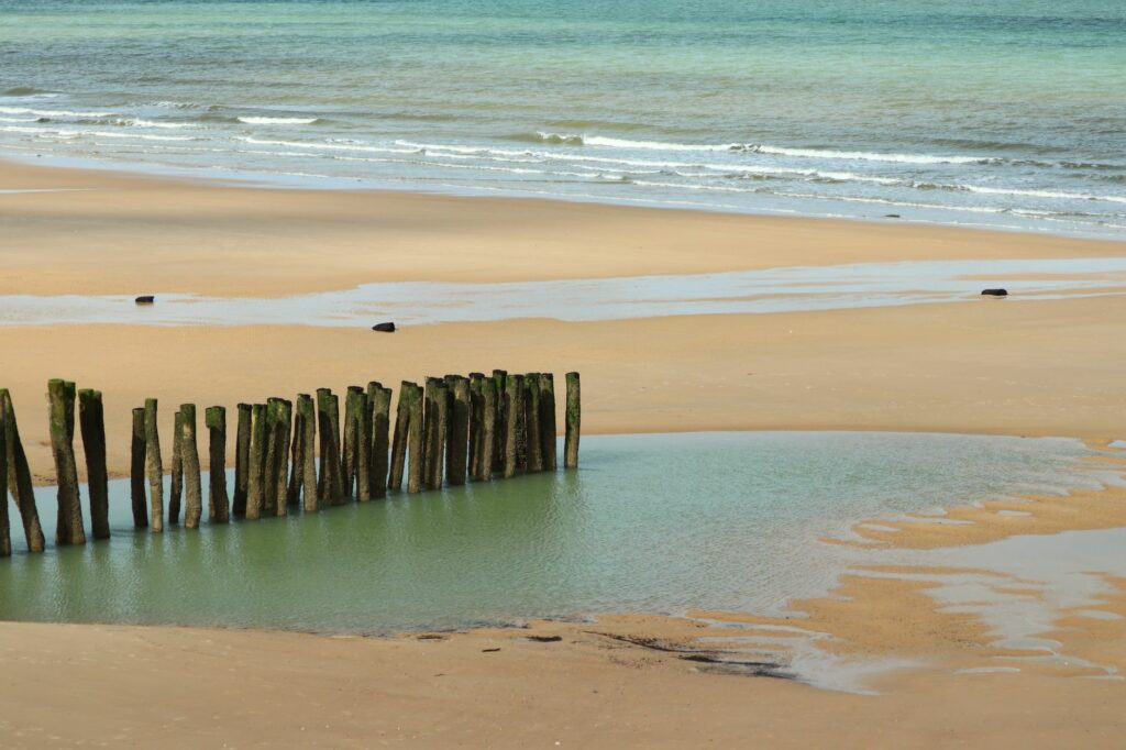 Plongée sous-marine en France : sites, niveaux, coûts et ce que les brochures taisent