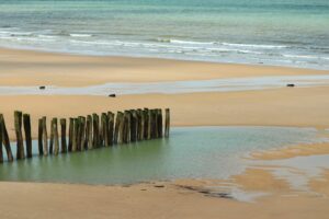 Plongée sous-marine en France : sites, niveaux, coûts et ce que les brochures taisent
